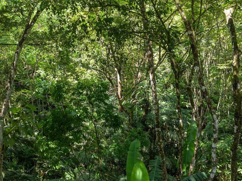 maitta eco lodge