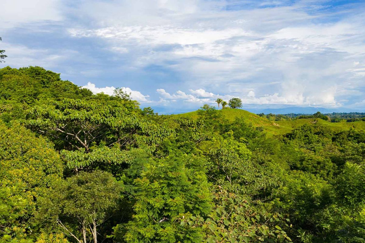 Maitta EcoHotel Doradal